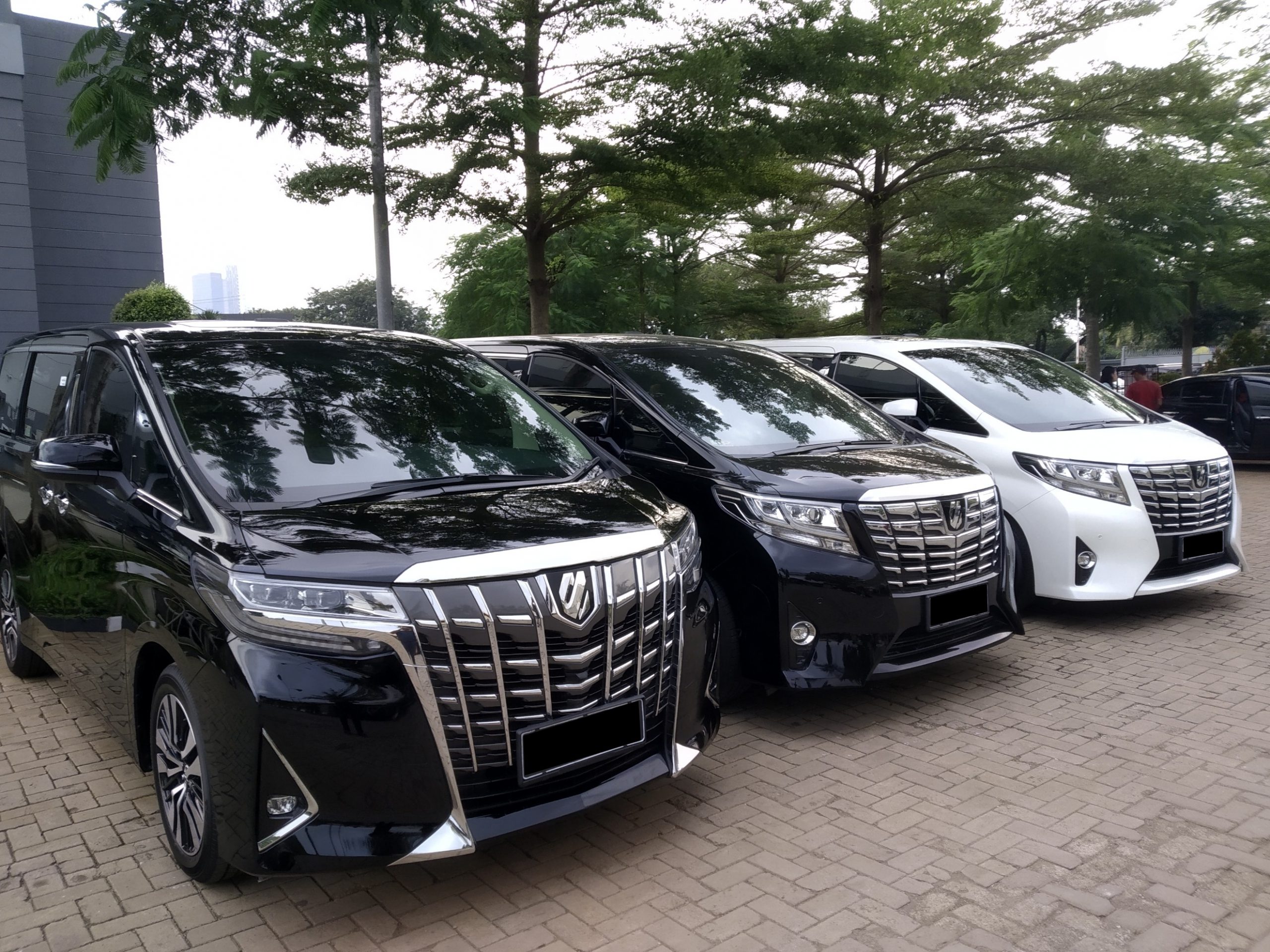 Sewa Alphard Jakarta, Sewa Mobil Mewah, Rental Mobil Pengantin Jakarta, Sewa Wedding Car Jakarta, Sewa Mobil Pengantin Bogor, Sewa Mobil Pengantin, Bekasi, Sewa Mobil Pengantin Tangerang, Sewa Mobil Pengantin Karawang, Sewa Mobil Pengantin Bandung