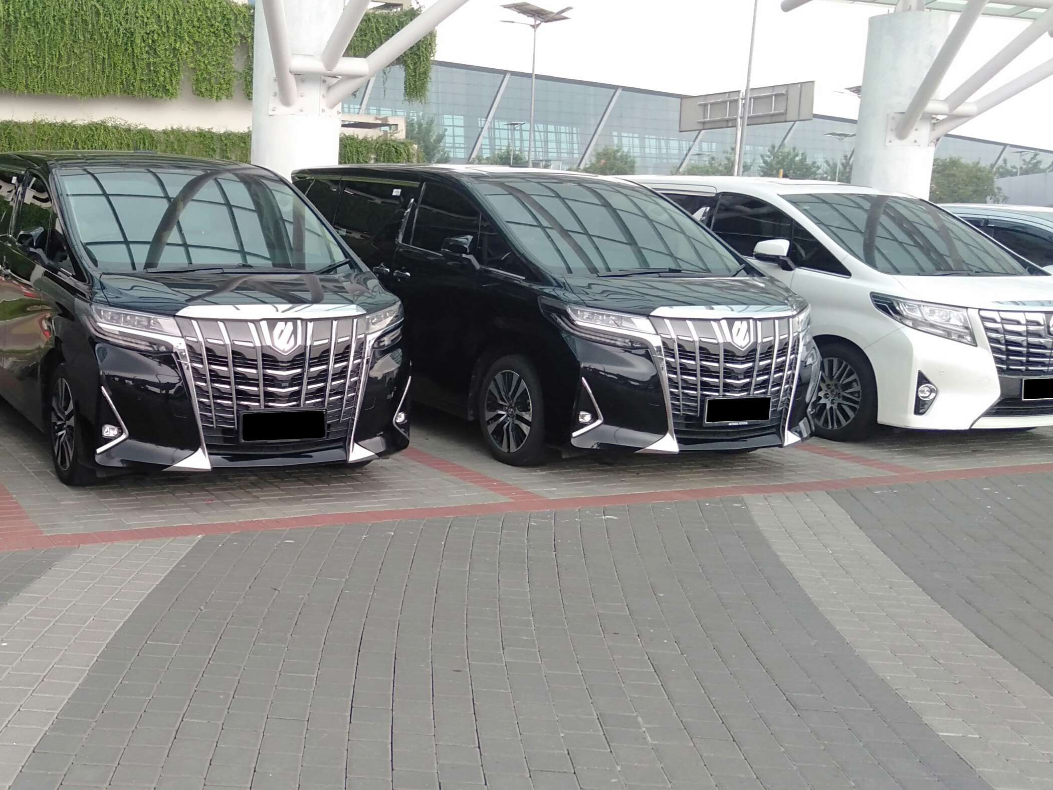 sewa mobil alphard jakarta, Sewa Mobil Alphard Transformer, Sewa Wedding Car, Sewa Mobil Pengantin Jakarta, Sewa Mobil Mewah, Rental Mobil Pengantin, Rental Mobil Mewah Jakarta, Sewa Mobil Pengantin Depok, Sewa Mobil Pengantin Bekasi, Sewa Mobil Pengantin Tangerang, Sewa Mobil Pengantin Bogor, Sewa Mobil Pengantin Karawang