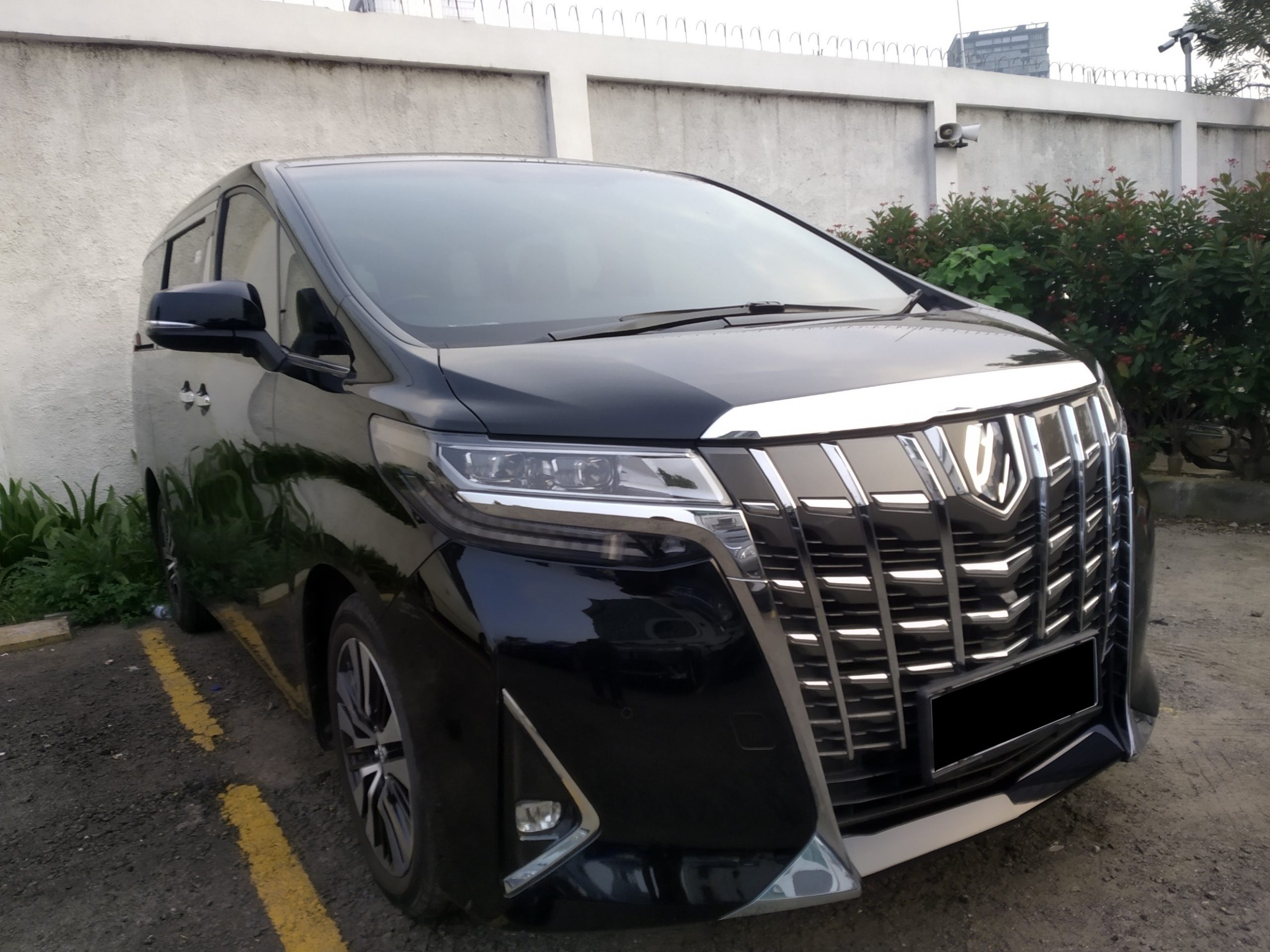 sewa-mobil-mewah-alphard